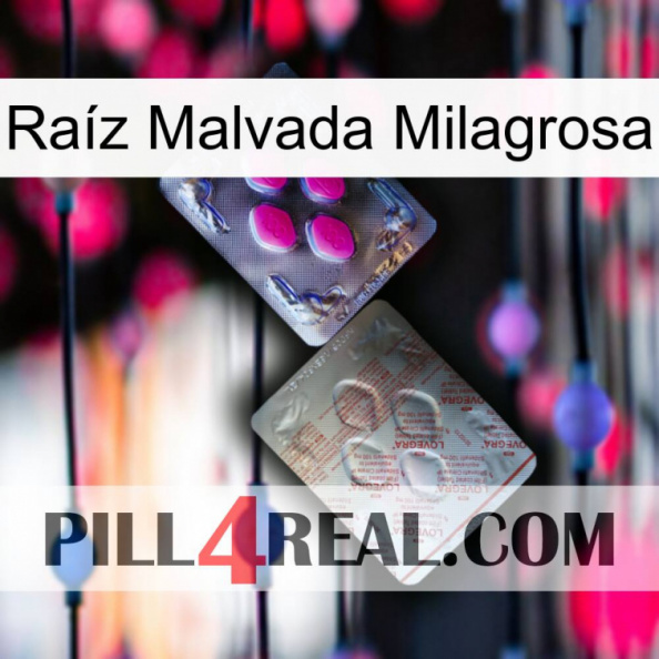 Raíz Malvada Milagrosa 38.jpg